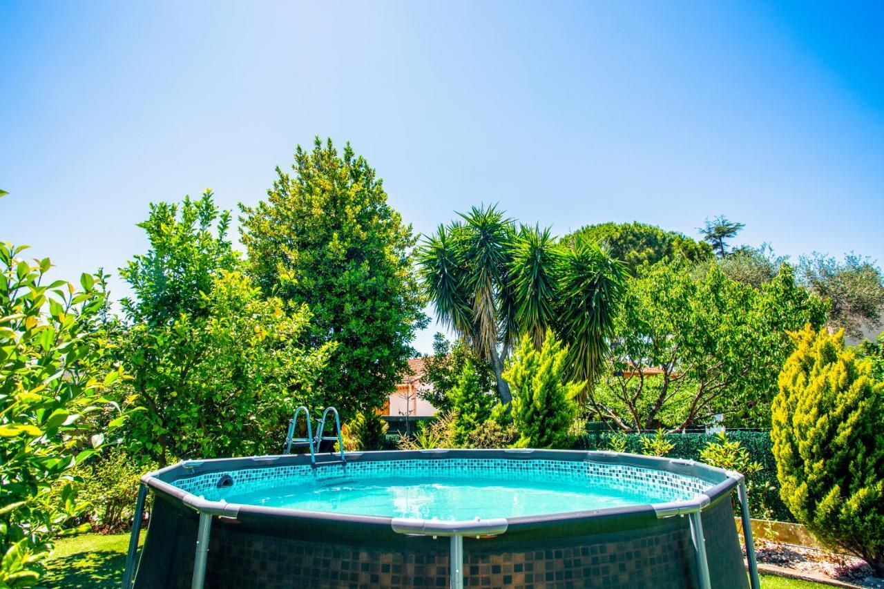 Villa Provence-Spa&Bbq Centre Au Calme- Jardin - Terrasses La Valette-du-Var Luaran gambar